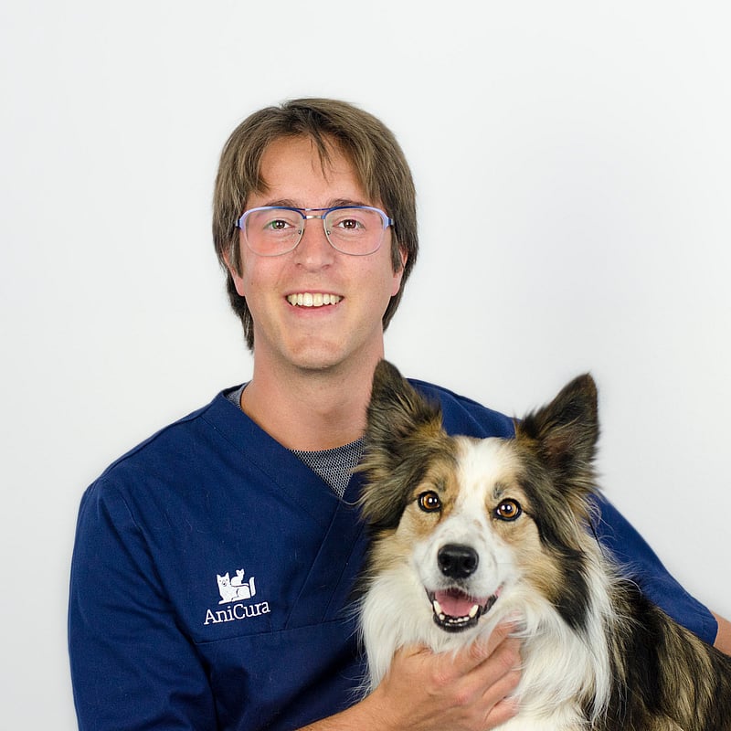 Photo of Wim Wellens, Dierenarts