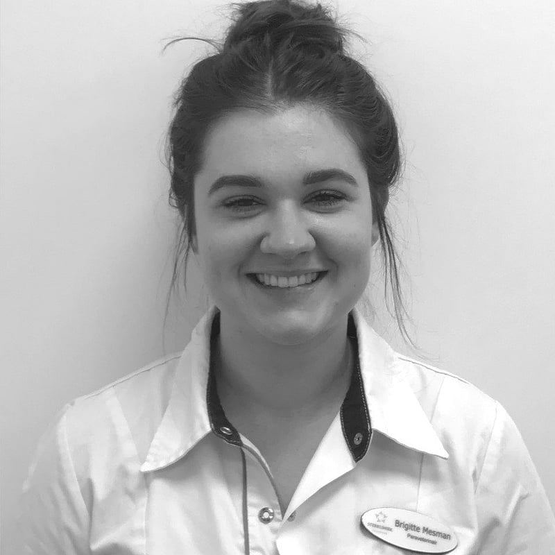 Photo of Brigitte Mesman, Paraveterinair