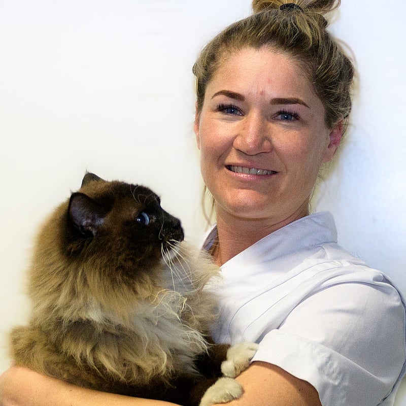 Photo of Hanneke van Meeuwen, Dierenarts