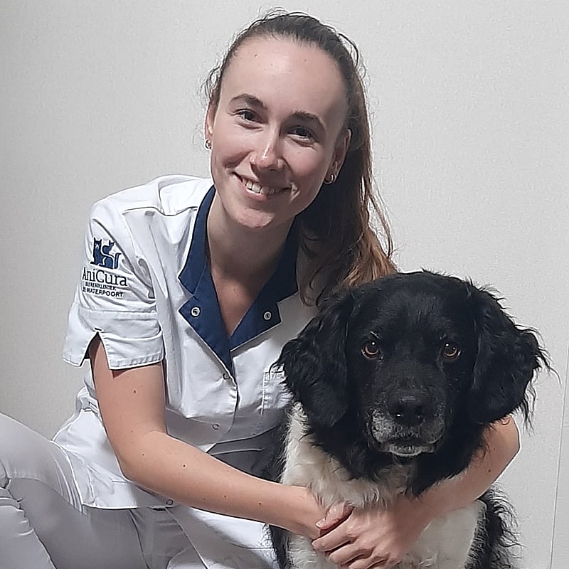Photo of Nynke Vrieswijk, Paraveterinair