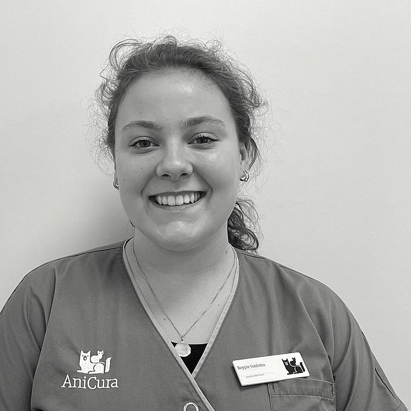Photo of Beppie Soolsma, Paraveterinair