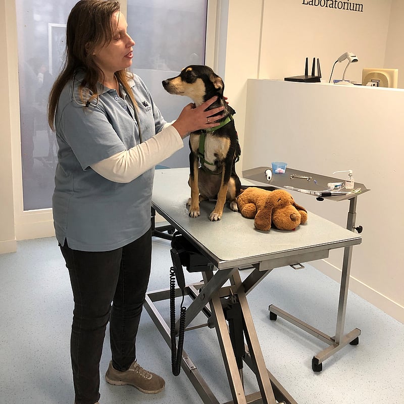 Photo of Marion Teunissen, Dierenarts