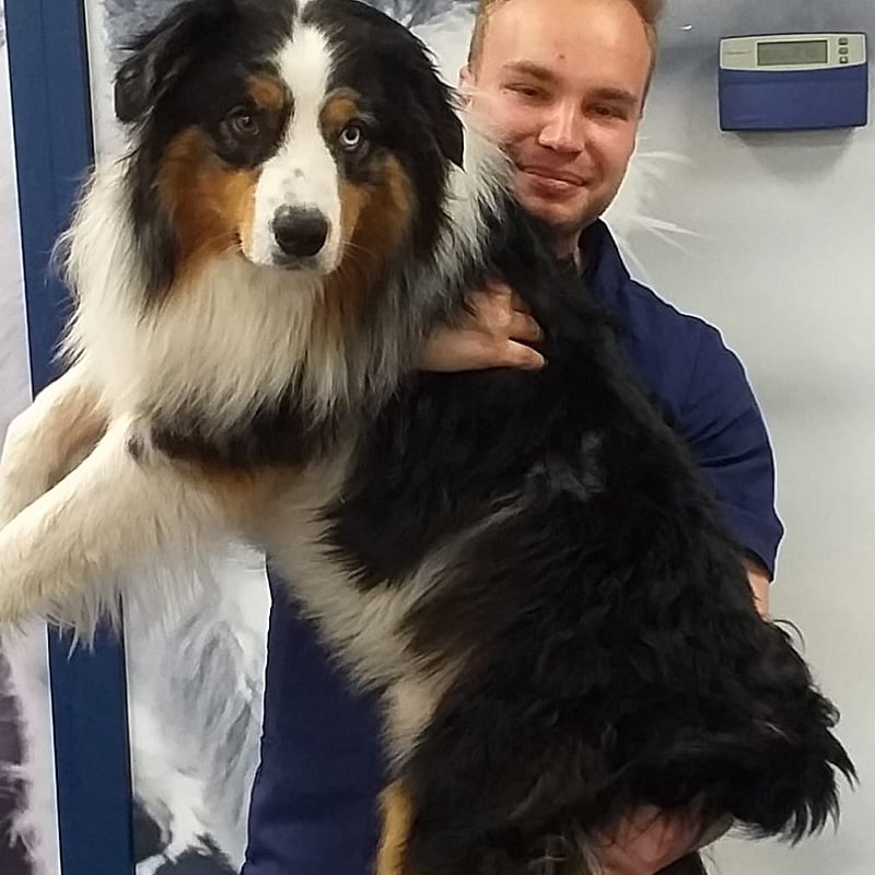 Photo of Julian de Jong - Boers, Paraveterinair