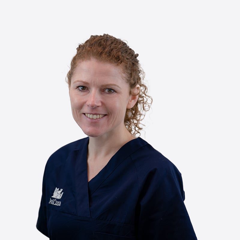 Photo of Tamara van der Sar, Dierenarts | Dvm