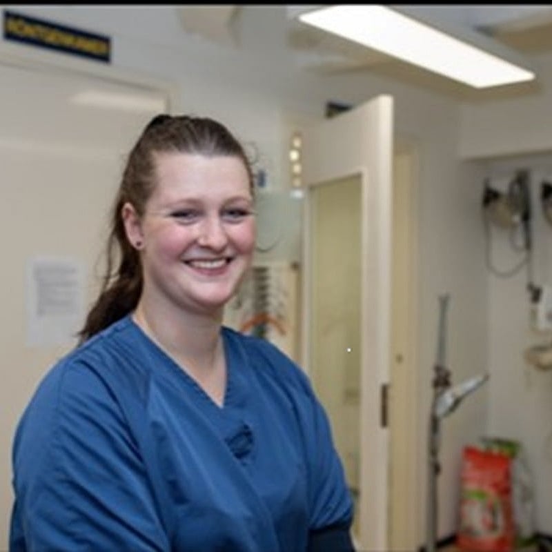Photo of Terri Illsley, Paraveterinair
