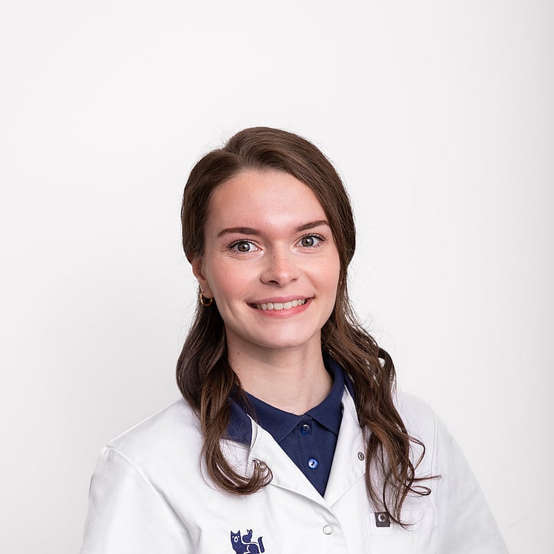 Foto van Drs. Arianne de Sterke, Dierenarts