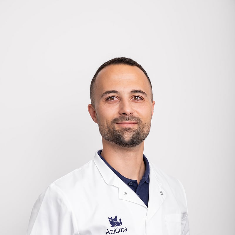 Photo of Drs. Fernando Pascua DĆaz, Praktijkmanager, Dierenarts