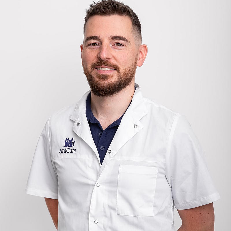 Photo of Drs. Ramon J.L. van der Horst, Dierenarts