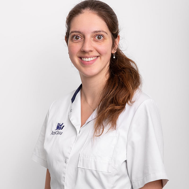 Photo of Drs. Wendy A.E.R. van Zundert, Dierenarts