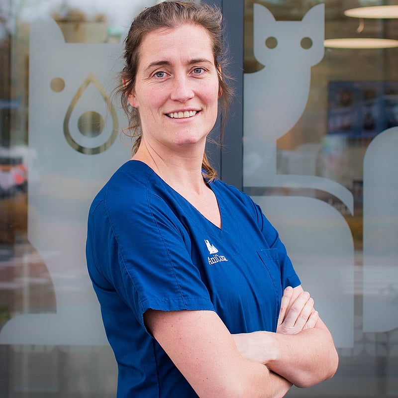 Foto van Susan van der Vrande, Dierenarts