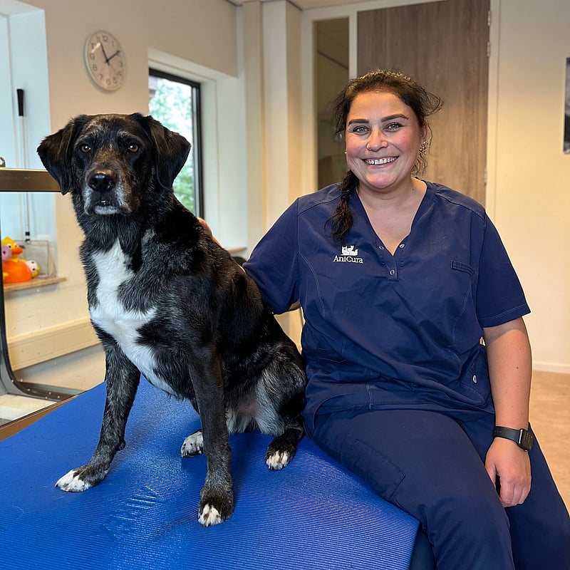 Foto van Maysoon Rashid, Dierenfysiotherapeut