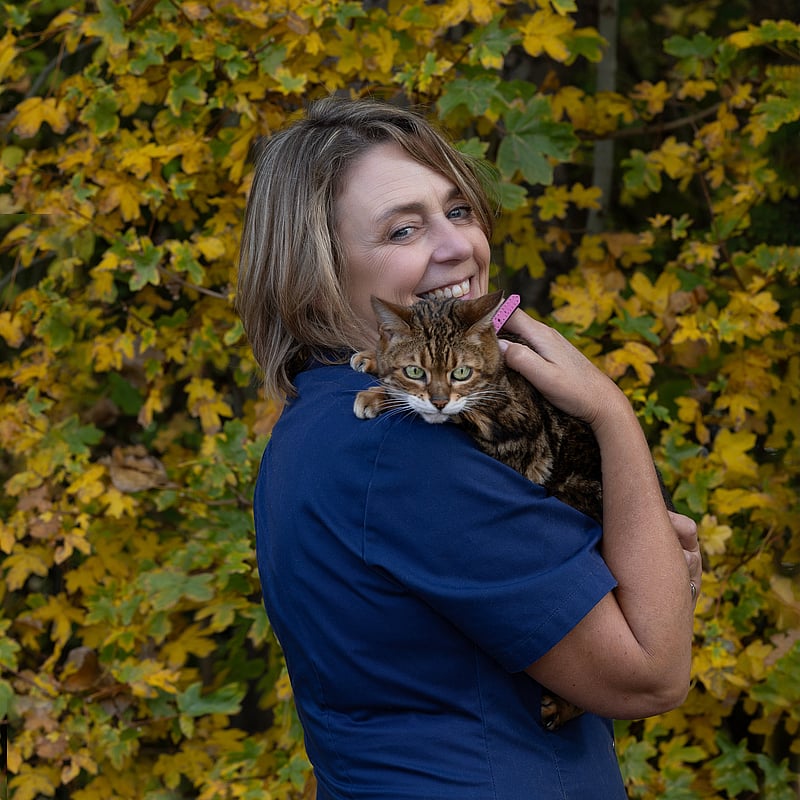Foto van Danielle de Wilde, Administratief Medewerker