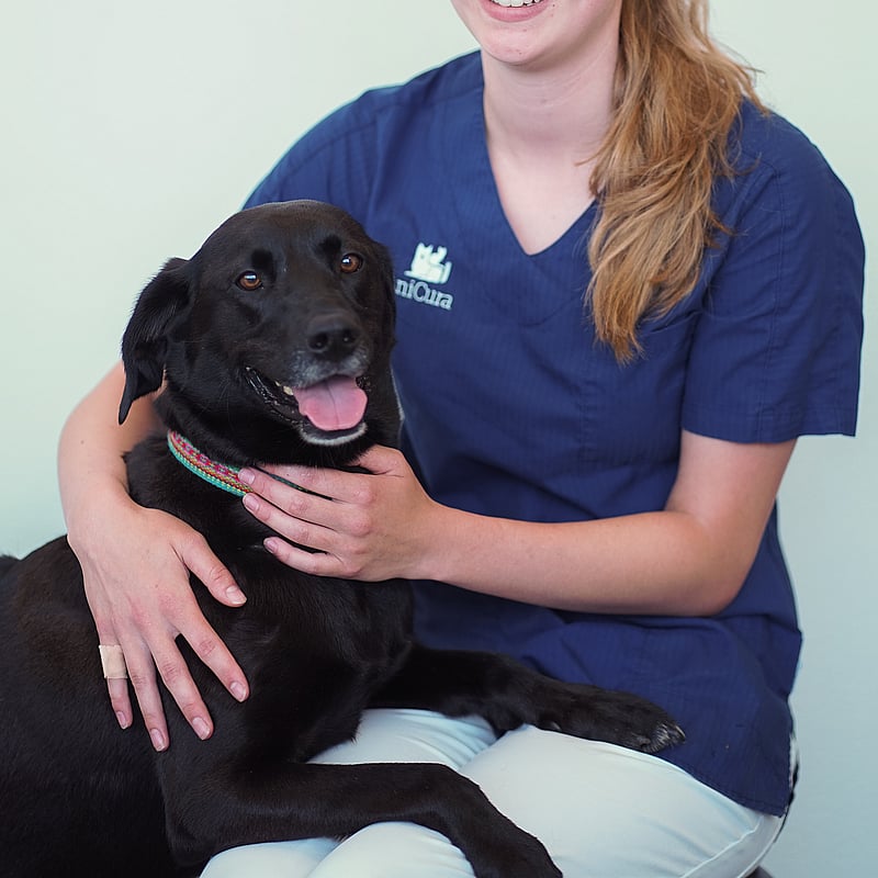 Foto van Noa Martens, Paraveterinair