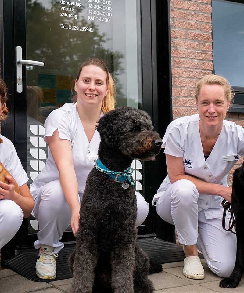 Blije hond