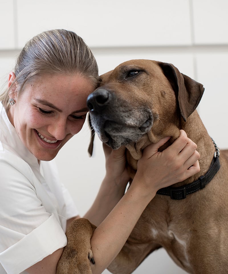 Vet cuddling with Rhodesian Ridgeback