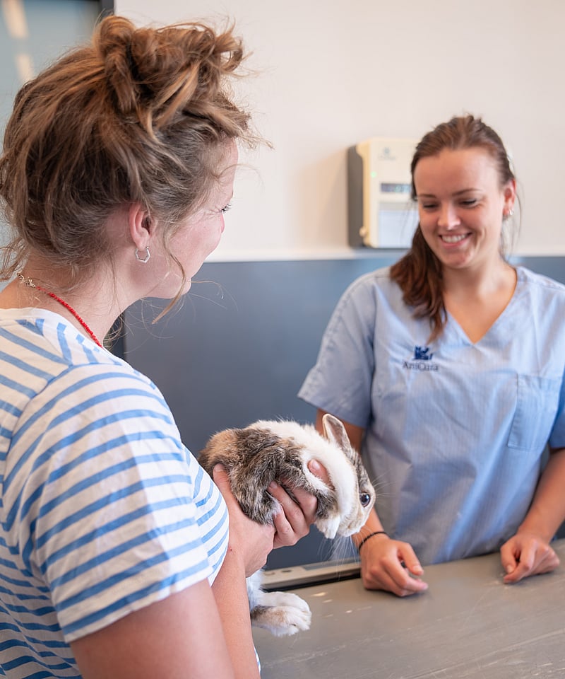 Klant met konijn bij dierenarts