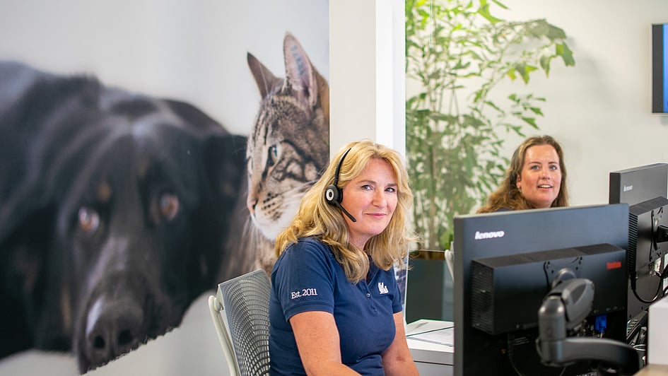 Een persoon die aan een bureau zit met een headset op.