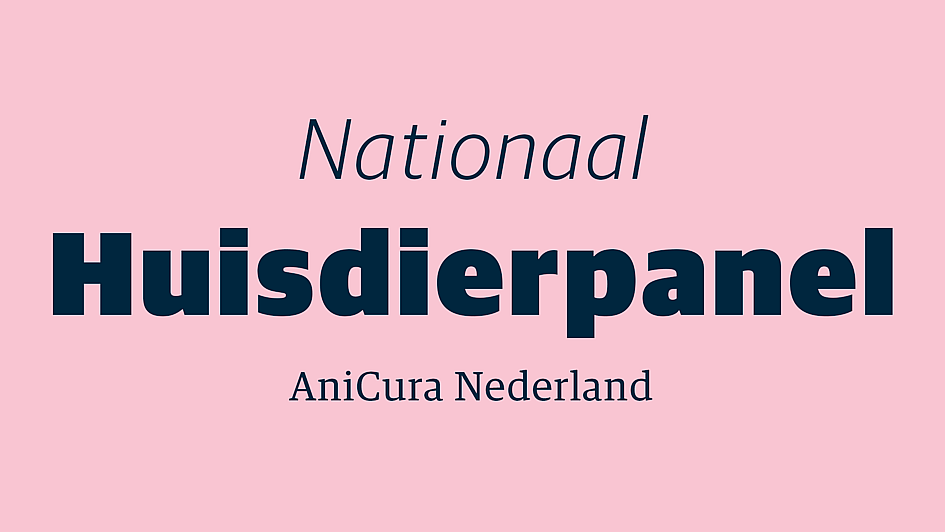Een roze achtergrond met zwarte tekst.