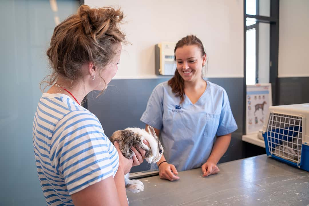 Klant met konijn bij dierenarts