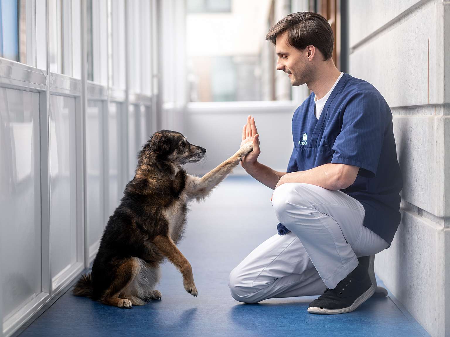 Hond geeft dierenarts een high five