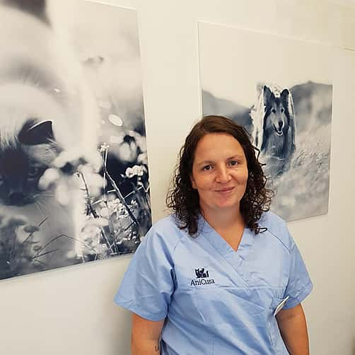 Inge paraveterinair