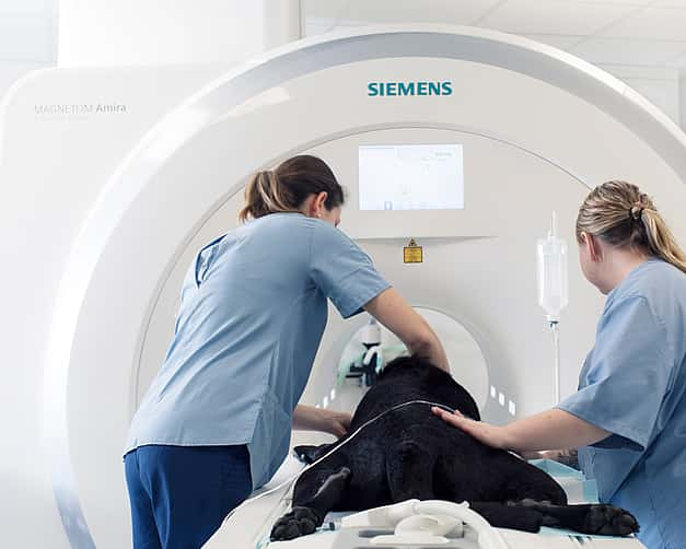 CT-scan huisdier