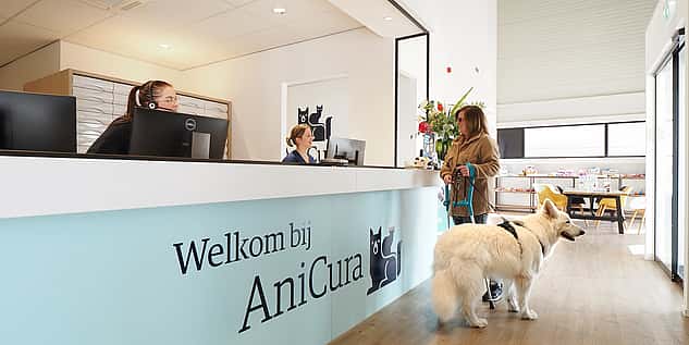 Dierenarts balie AniCura Breda