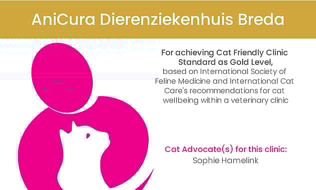 Cat friendly katvriendelijke dierenarts dierenkliniek Breda
