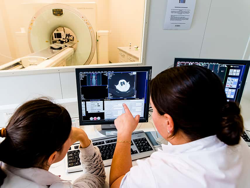 Dier in CT-scan in Zeeuws-Vlaanderen