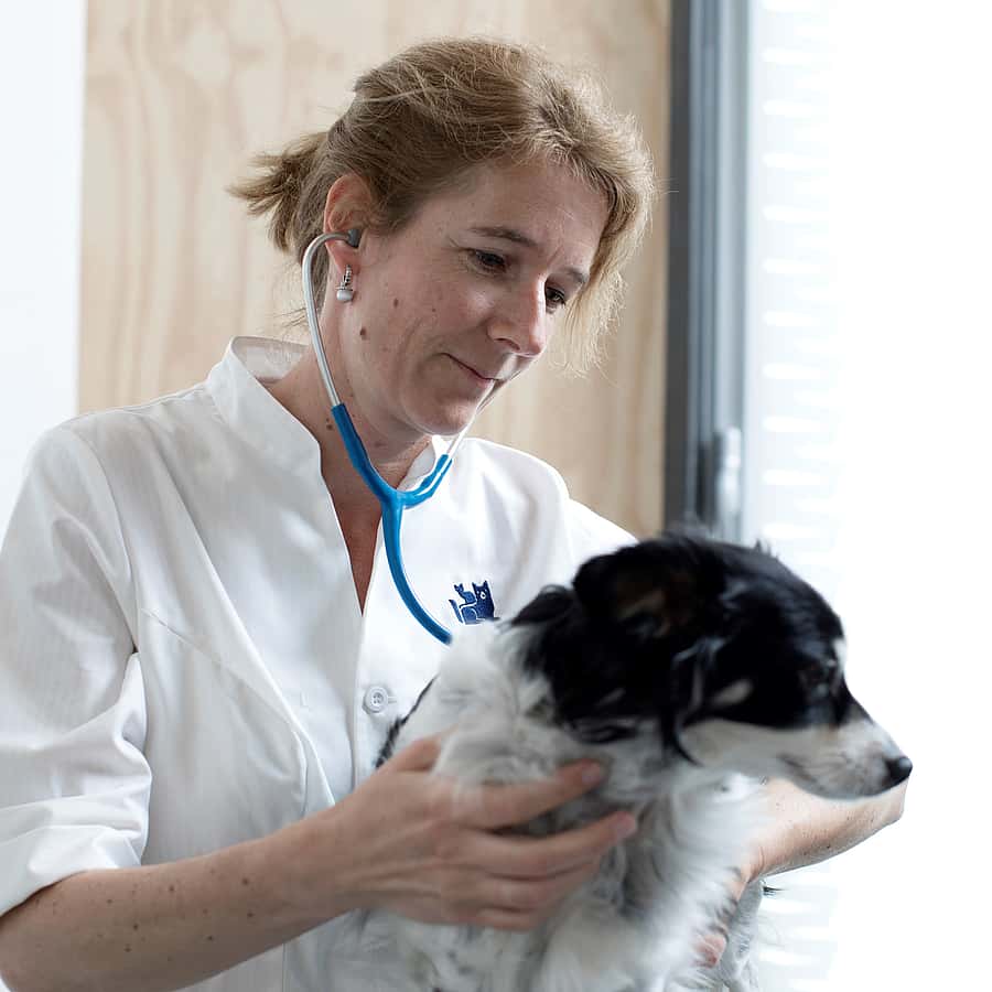 Maartje Passon-Vastenburg