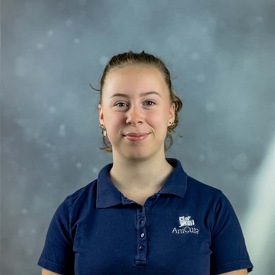 Angel Moesker
