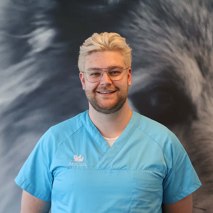 Lorenzo Klootwijk
