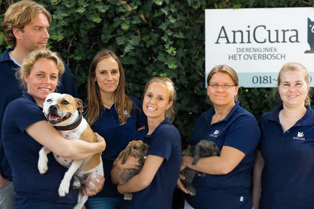 AniCura Dierenkliniek Het  Overbosch - Oostvoorne