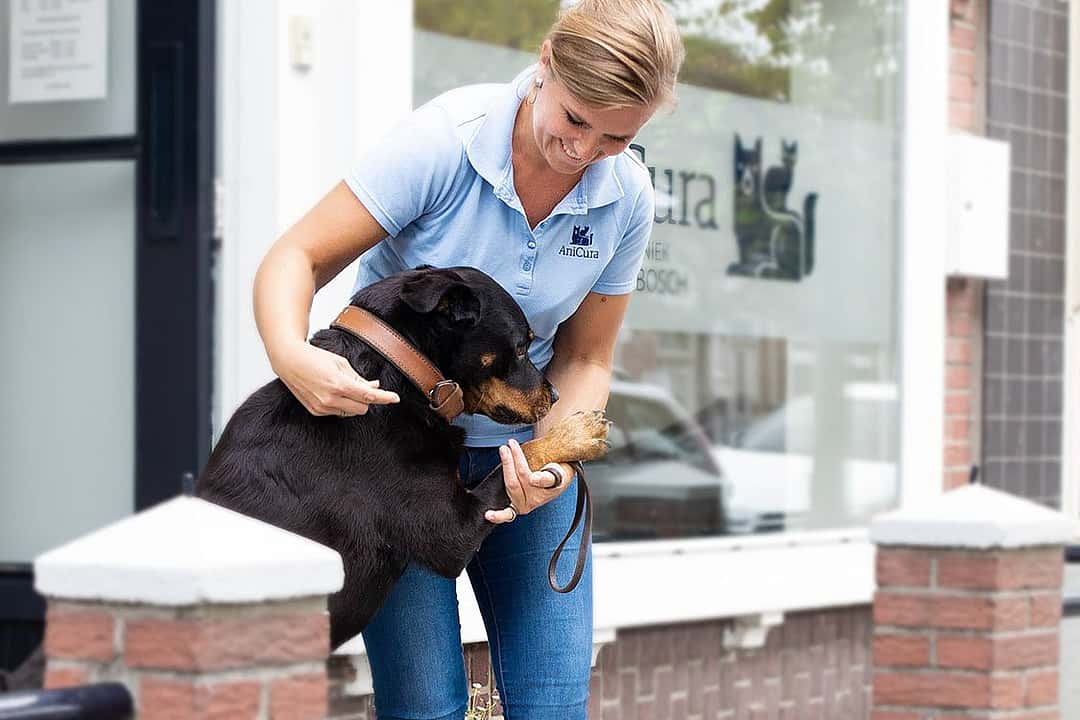 AniCura Dierenkliniek Het Overbosch - Stellendam