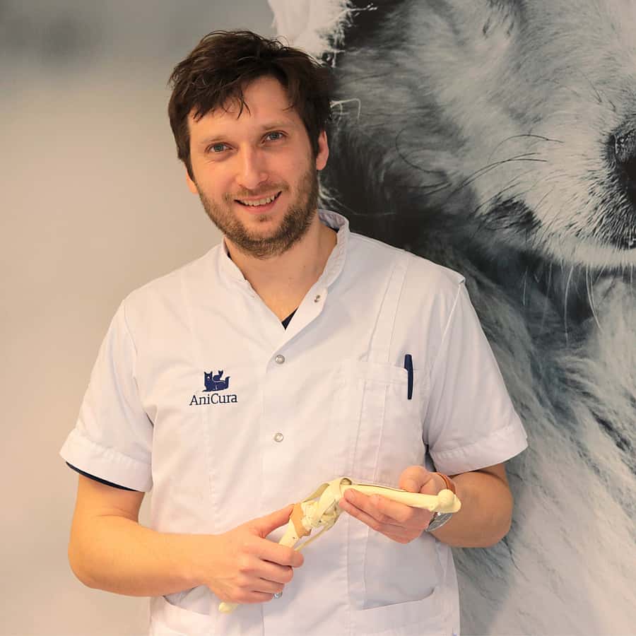Reinier Holst