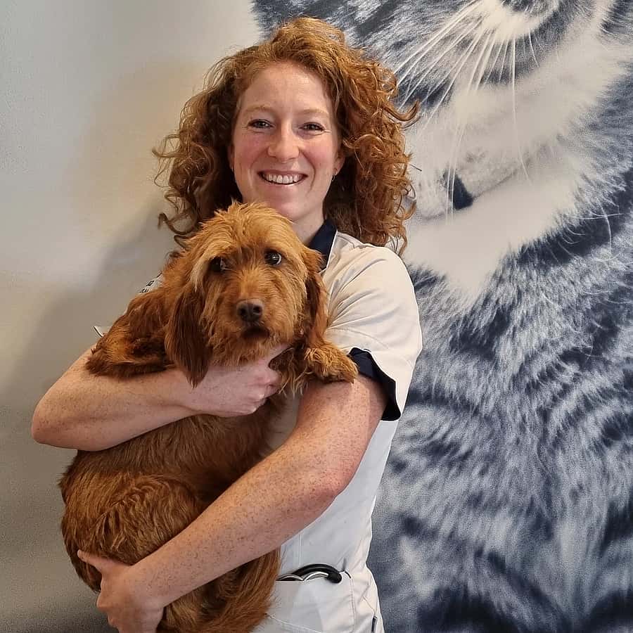 Sophie van Rossem