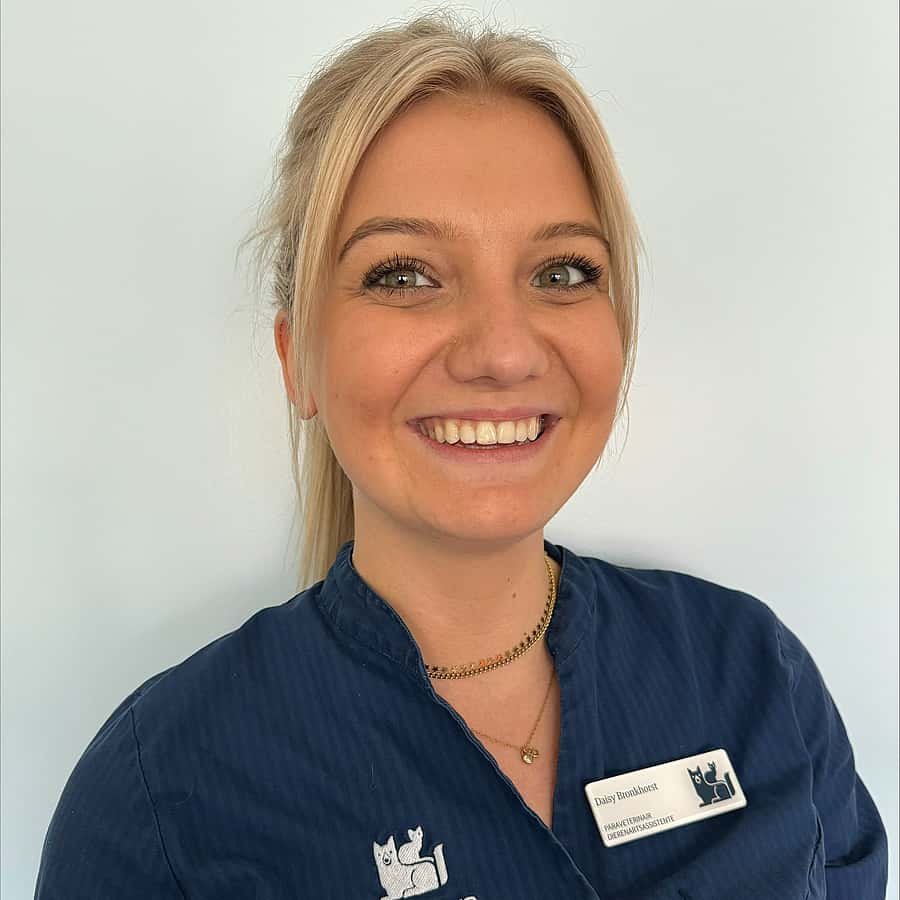 Daisy Bronkhorst
