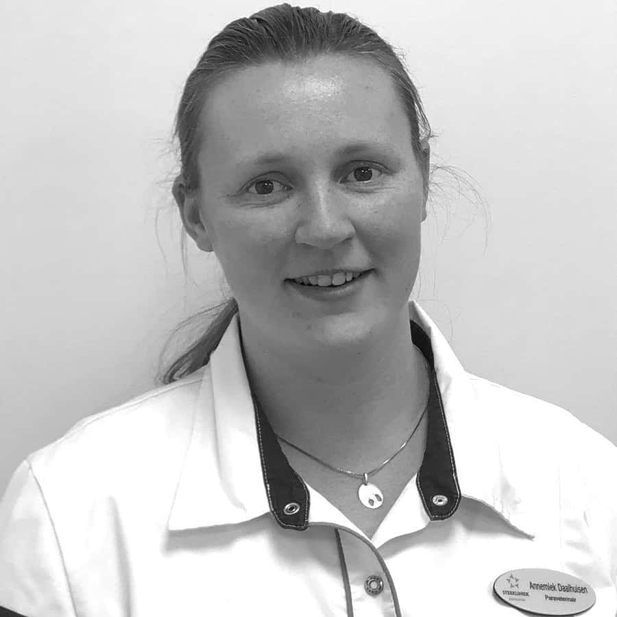 Annemiek Daalhuisen