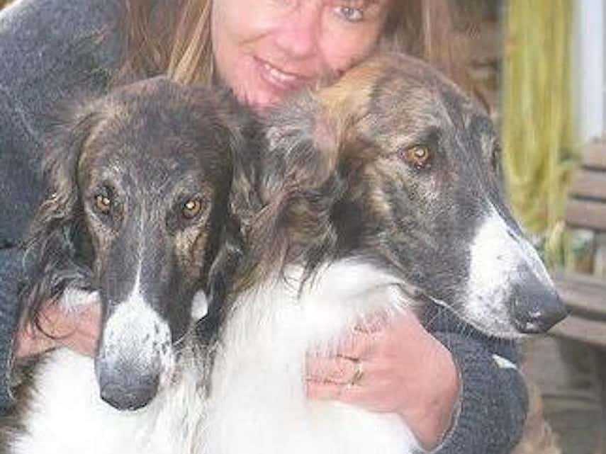 Borzoi