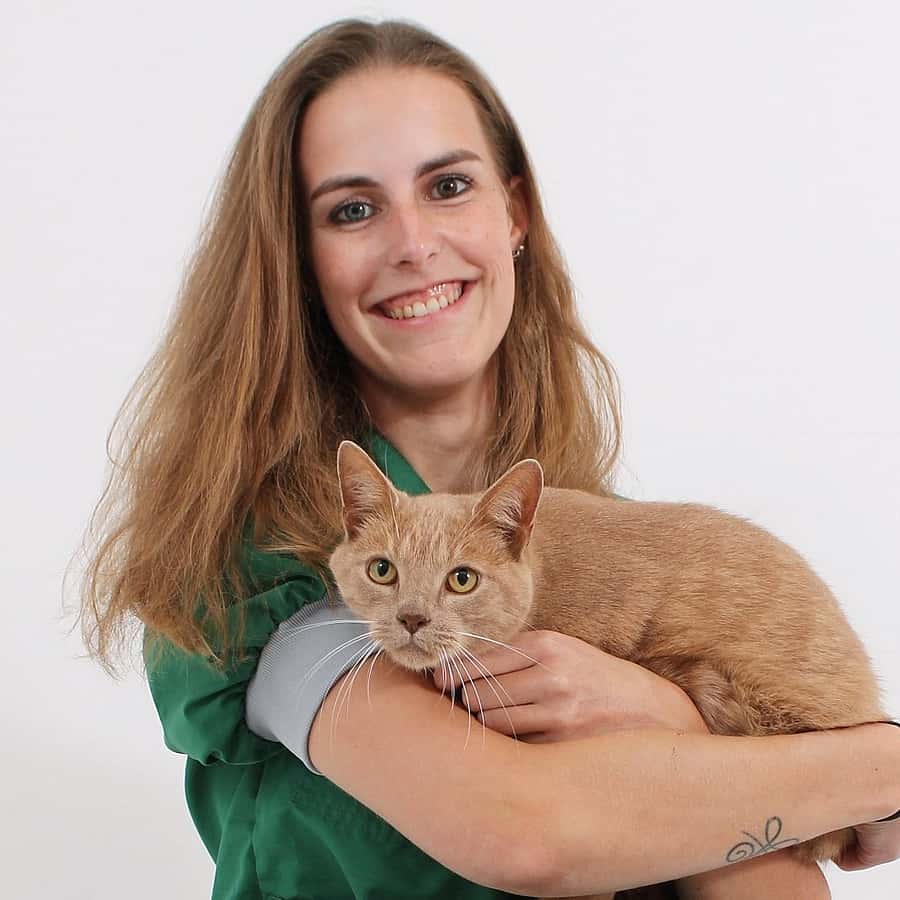 Calina Vos