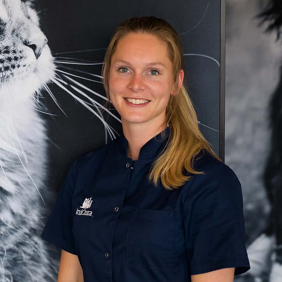 Amy van der Heide