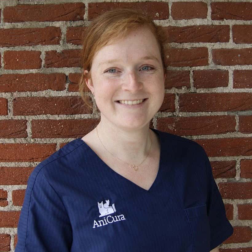 Kaylee Meijer