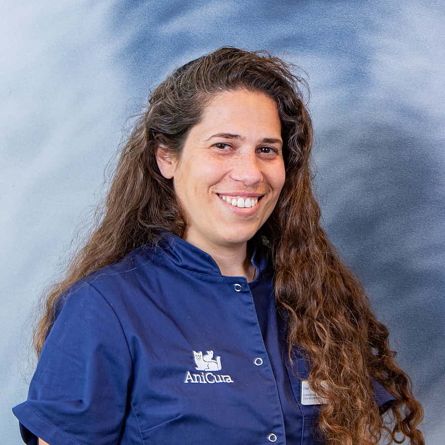 Yael Chamisha