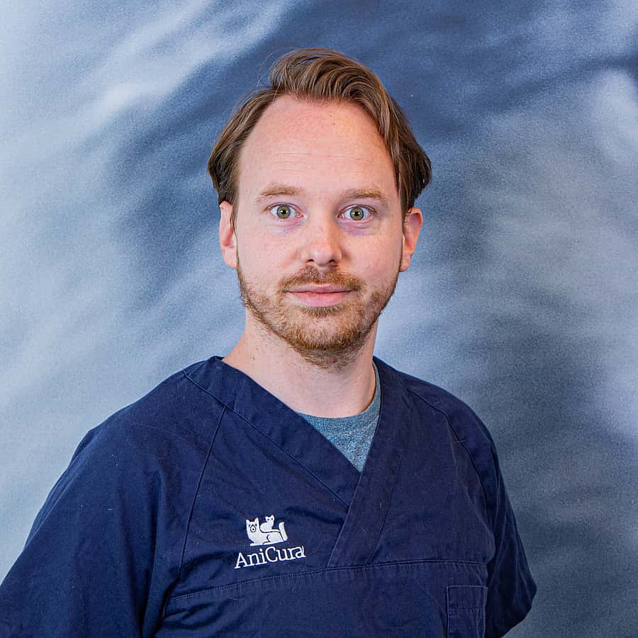 Niels Groesser