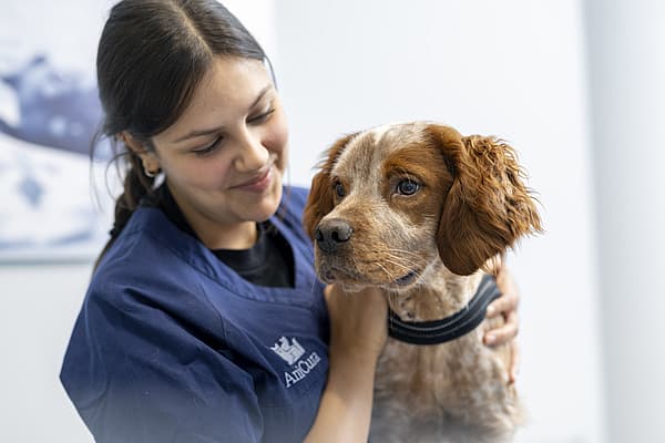 Een persoon die een hond vasthoudt.