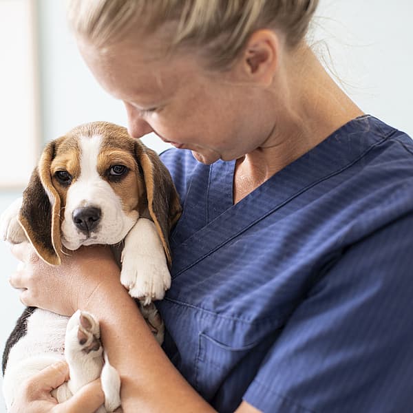 Een persoon die een hond vasthoudt.