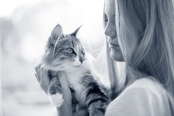 Een persoon die een kat vasthoudt.