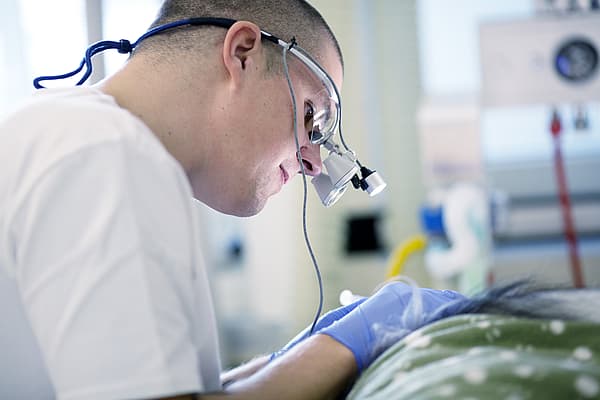 Een persoon die een chirurgisch masker en handschoenen draagt.