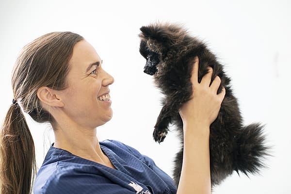 Een persoon die een kleine hond vasthoudt.