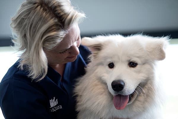 Een persoon die een hond vasthoudt.